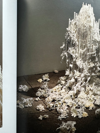 Petah Coyne Everything That Rises Must Converge