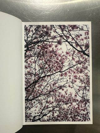 Shen Wei - A Season Particular