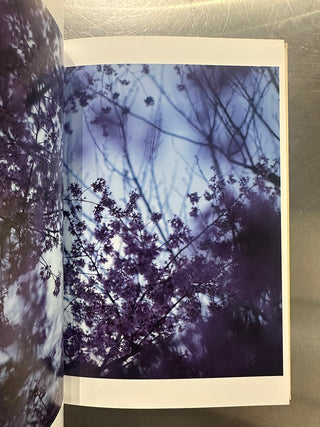 Shen Wei - A Season Particular