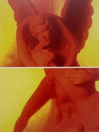 Andres Serrano - Uncensored Photographs