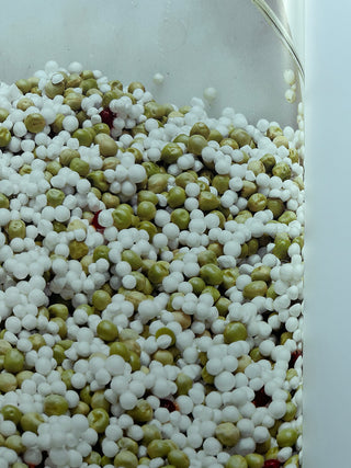 Jason Rhoades - PeaRoeFoam