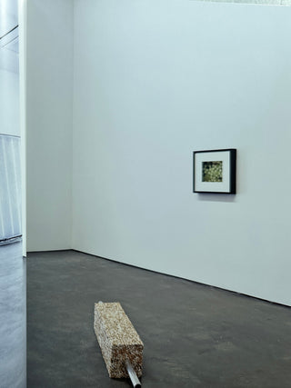 Jason Rhoades - PeaRoeFoam