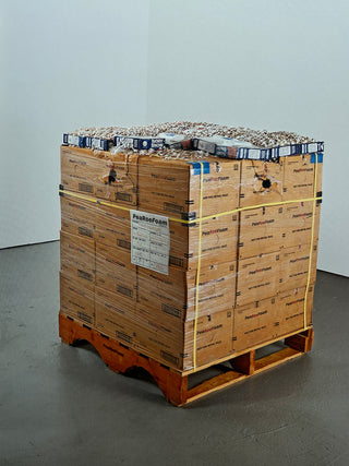 Jason Rhoades - PeaRoeFoam