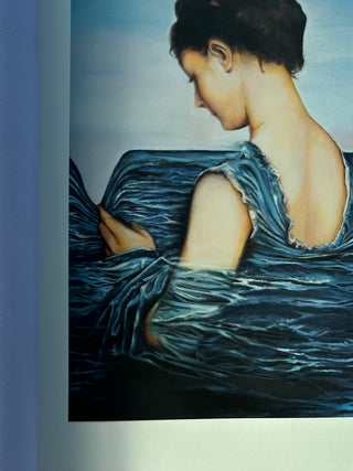 Thomas Lerooy -  A Field Guide