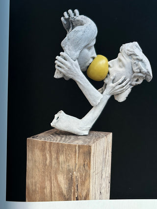 Thomas Lerooy -  A Field Guide