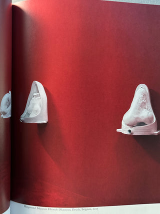 Thomas Lerooy -  A Field Guide