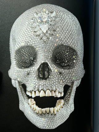 Damien Hirst, To Live Forever (For a While)