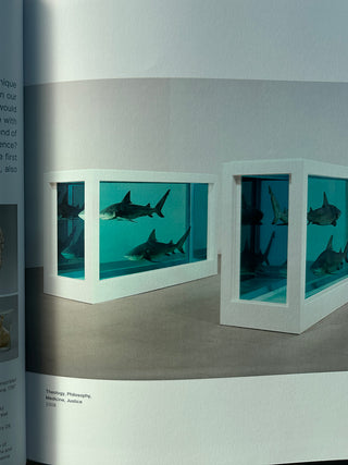 Damien Hirst, To Live Forever (For a While)