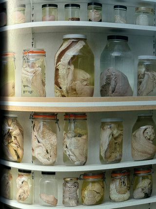 Damien Hirst, To Live Forever (For a While)