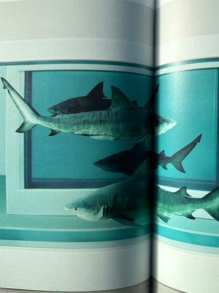 Damien Hirst, To Live Forever (For a While)