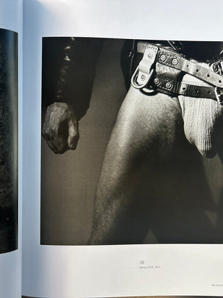 Robert Mapplethorpe – The Photographs