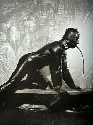 Robert Mapplethorpe – The Photographs