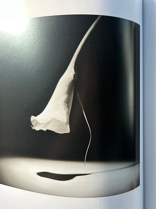 Robert Mapplethorpe – The Photographs