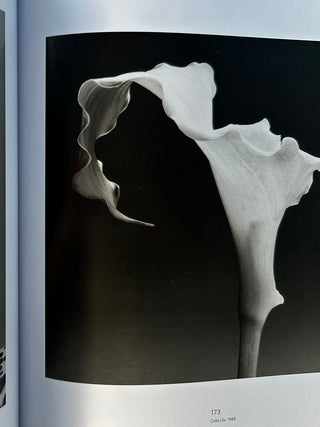 Robert Mapplethorpe – The Photographs