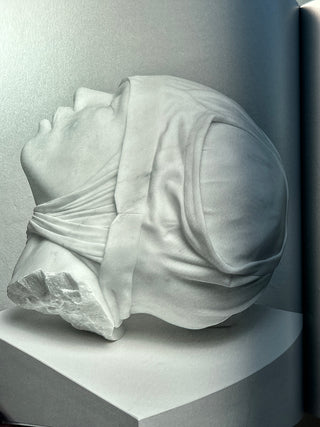 Reza Aramesh - Action: By Number