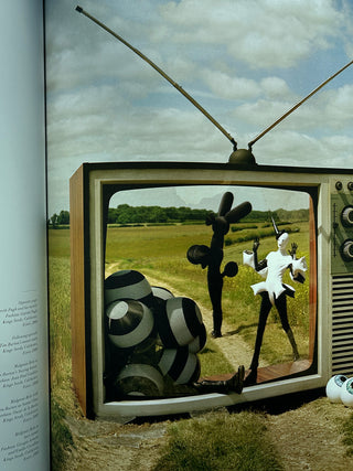 Tim Walker - Story Teller