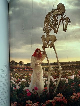 Tim Walker - Story Teller