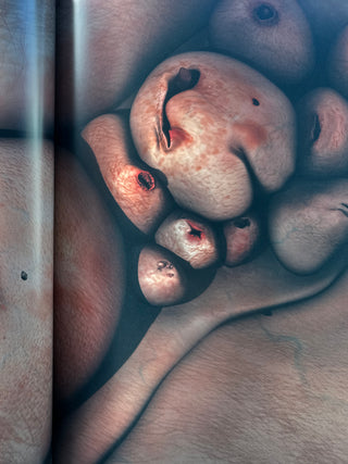 Patricia Piccinini - Nearly Beloved