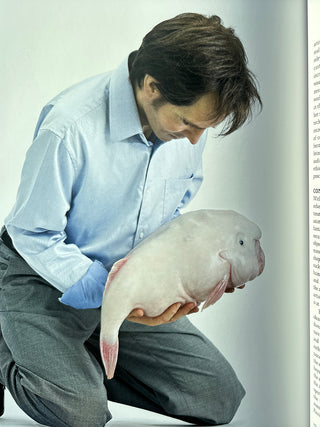 Patricia Piccinini - Nearly Beloved