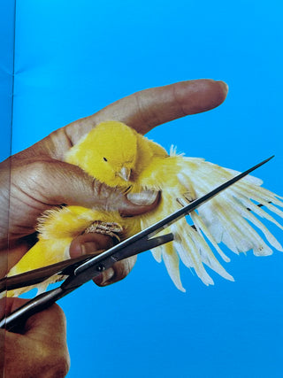 Toilet Martin Paper Parr