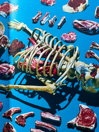 Toilet Martin Paper Parr