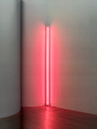 Dan Flavin - Dedications in Lights