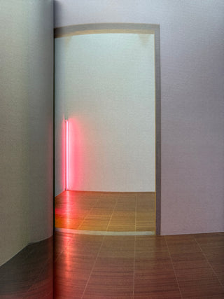 Dan Flavin - Dedications in Lights