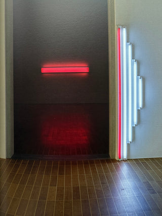 Dan Flavin - Dedications in Lights
