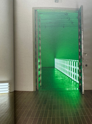 Dan Flavin - Dedications in Lights