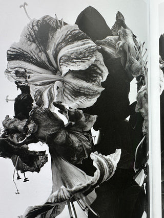 Araki. 40th Ed. -  Nobuyoshi Araki