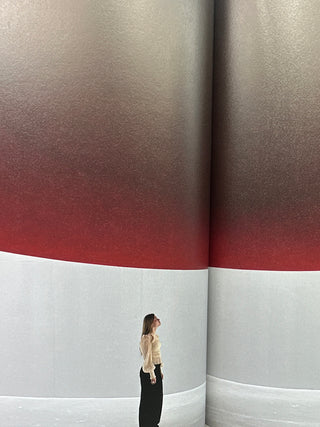 ANISH KAPOOR - Unseen