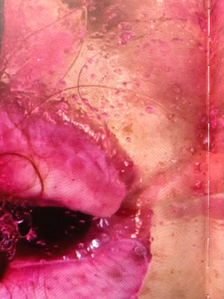 All Wet By - Marilyn Minter