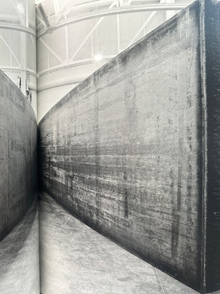 Richard Serra 2013