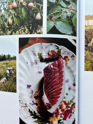 Today's Special 20 Leading Chefs Choose 100 Emerging Chefs