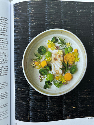 Today's Special 20 Leading Chefs Choose 100 Emerging Chefs