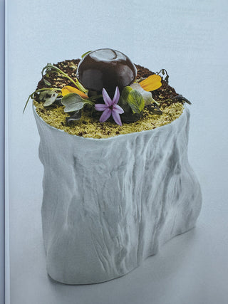 Today's Special 20 Leading Chefs Choose 100 Emerging Chefs