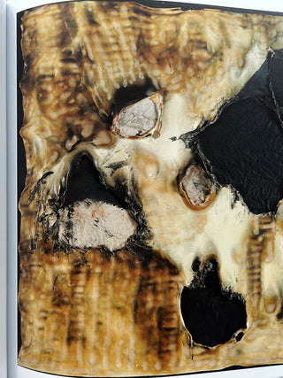 Burri - Material Poetry