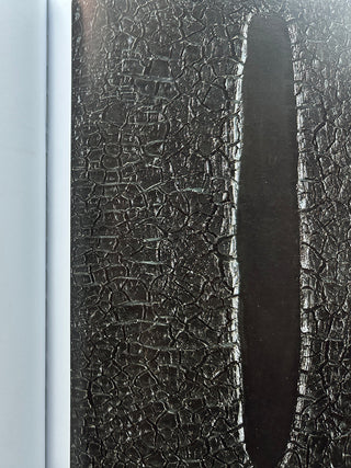 Burri - Material Poetry