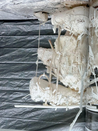 Jim Dine: Three Ships