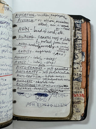 Stranger Than Kindness : Nick Cave