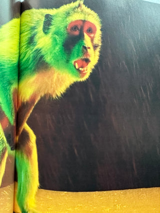 Stranger Than Kindness : Nick Cave