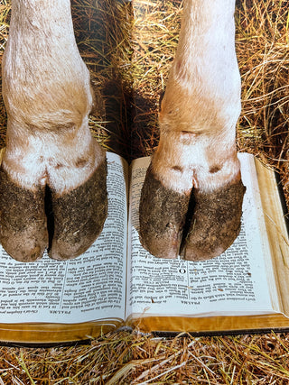 Toiletpaper Magazine 20