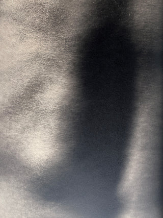 David Lynch - Digital Nudes