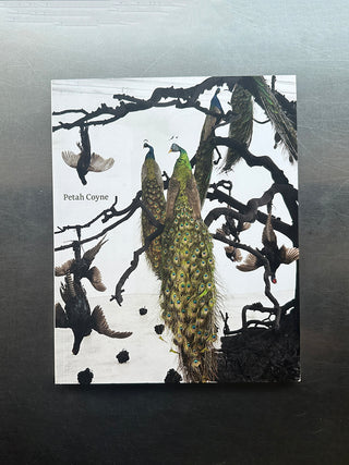 Petah Coyne Everything That Rises Must Converge