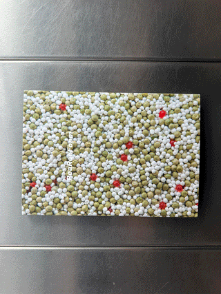 Jason Rhoades - PeaRoeFoam