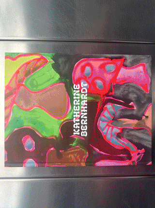 Katherine Bernhardt - Why is a mushroom growing in my shower?