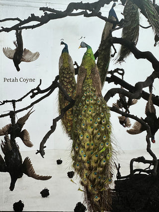 Petah Coyne Everything That Rises Must Converge