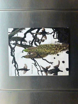 Petah Coyne Everything That Rises Must Converge