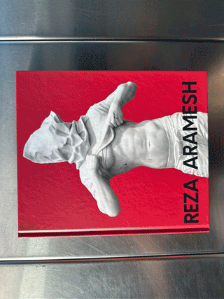 Reza Aramesh - Action: By Number