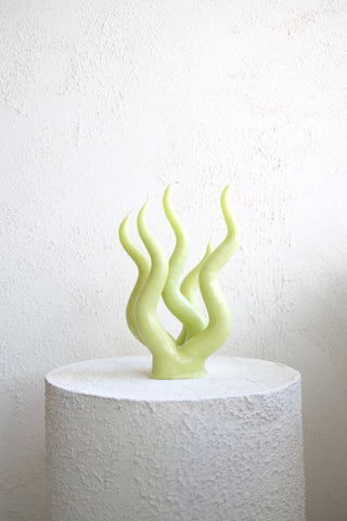 C.D.L. - Citrus Medusa Candle